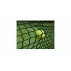 Fileu tenis de camp, Deluxe TN50