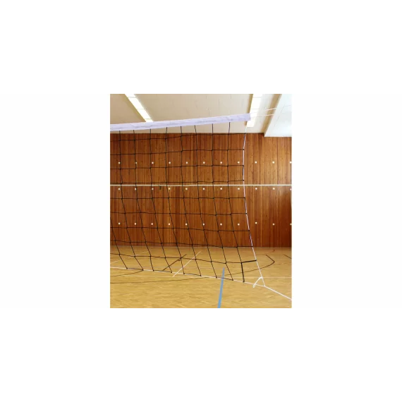 Fileu volei