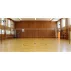 Fileu volei  School