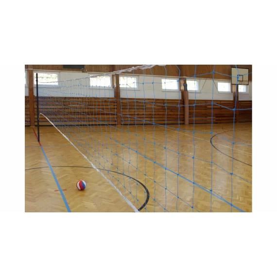 Fileu volei  School