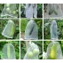 Garden Bag 45 punga de protectie a fructelor