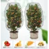 Set 10 saculeti de protectie a fructelor, Garden Bag 70