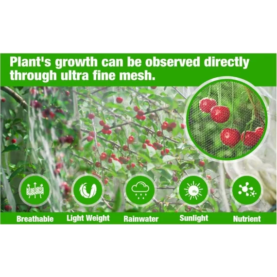 Garden Mesh anti bug and anti bird net 2,5 x 6 m