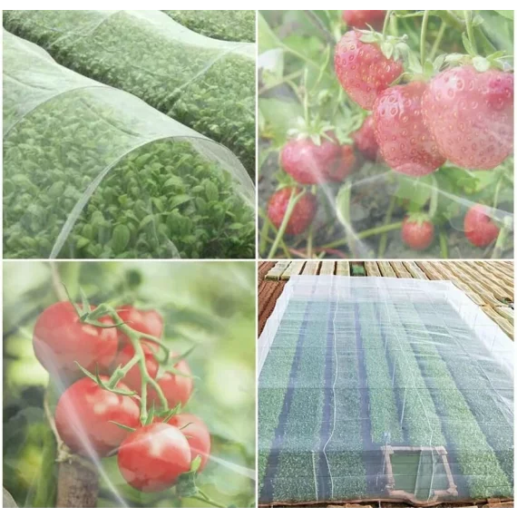 Garden Mesh anti bug and anti bird net 3 x 8 m