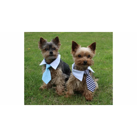 Gentledog cravata pentru caini, negru-alb