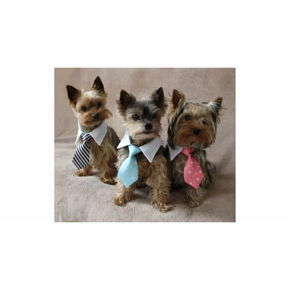 Gentledog cravata pentru caini, negru-alb