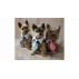 Gentledog cravata pentru caini, negru-alb