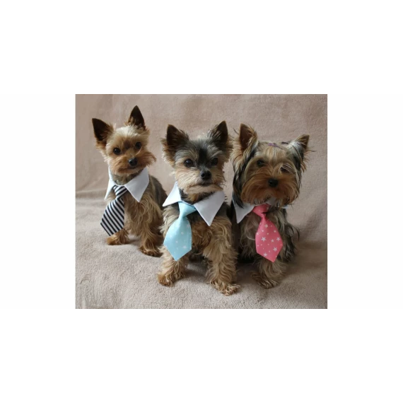 Gentledog cravata pentru caini, roz