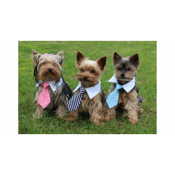 Gentledog cravata pentru caini, roz