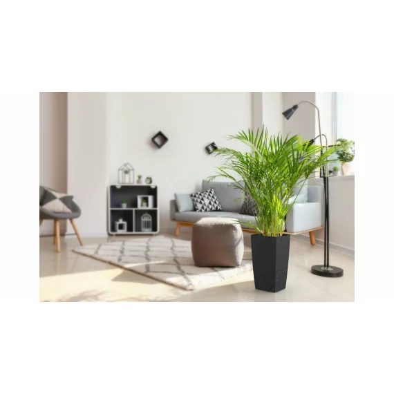 Ghiveci decorativ Eliot Stone 25 x 46 cm, antracit