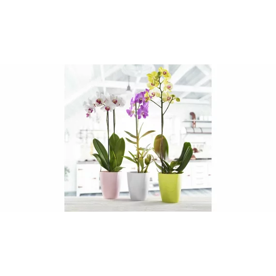 Ghiveci decorativ Ornella alb