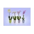 Ghiveci decorativ pentru flori Ornella transparent