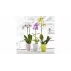 Ghiveci decorativ pentru flori Ornella transparent