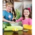 Ghiveci fereastra cu tavita Small maro