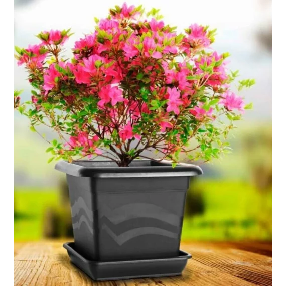 Ghiveci flori Quattro maro