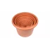 Ghiveci pentru flori Campanula terracotta