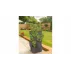 Ghiveci pliabil din plastic pentru capsuni, plante aromatice, cartofi, Plastkon Potato, 4 niveluri