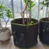 Grow Bag 129L ghiveci pentru flori