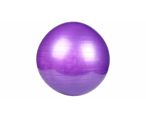 Gymball 55 minge de gimnastica, mov
