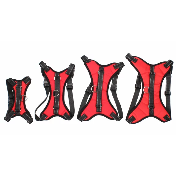 Ham caini Body army