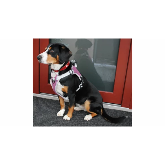 Ham catei Mesh violet