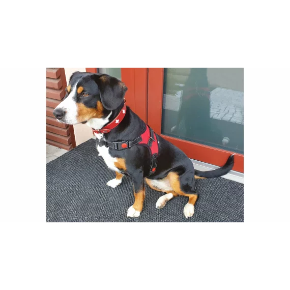 Ham pentru caineBody negru
