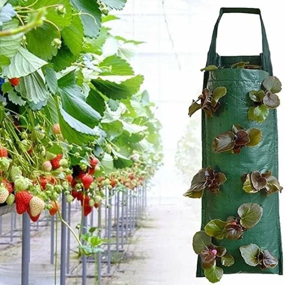 Hang Grow Bag 8 sac suspendat pentru cultivarea plantelor