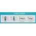 Hip Trainer pentru muschii fesieri, mov