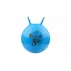 Hom Jump minge de gimnastica, albastru