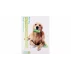 Jucarie pentru caine Doggie verde