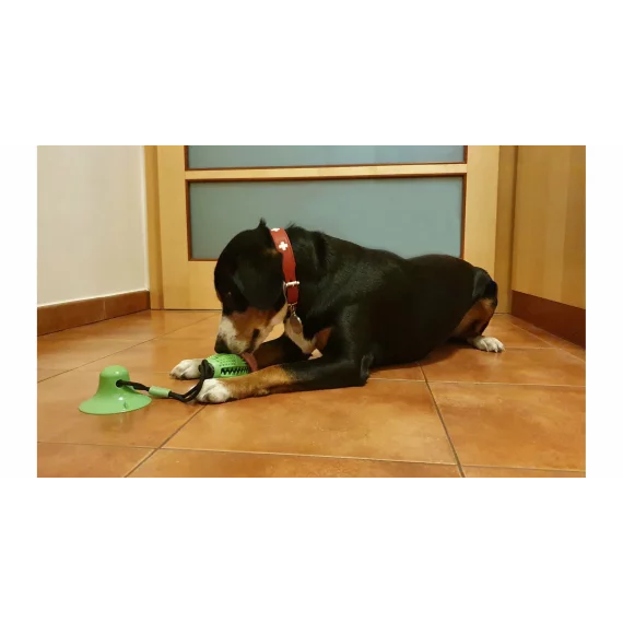 Jucarie pentru caine Doggie verde