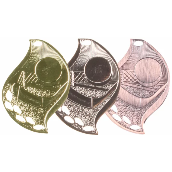 MDS10 medalie de bronz