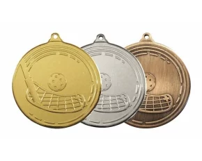 MDS13 medalie de bronz