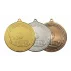 MDS13 medalie de bronz
