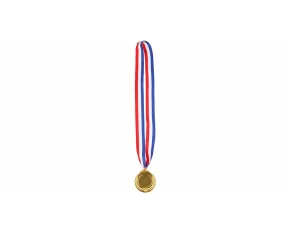 Metal Gold medal with ribbon
