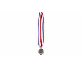 Metal Silver medal with ribbon