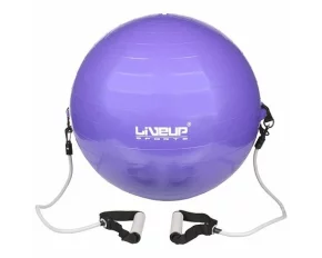 Minge gimnastica Flex LS3227 violet