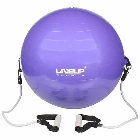 Minge gimnastica Flex LS3227 violet
