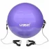 Minge gimnastica Flex LS3227 violet
