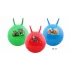 Minge sarituri gimnastica Hom Jump verde