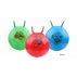 Minge sarituri gimnastica Hom Jump verde