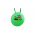 Minge sarituri gimnastica Hom Jump verde