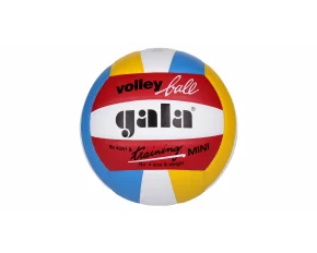 Minge volei BV4041S Training Mini