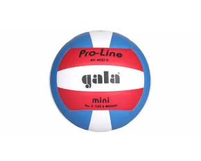 Minge volei BV4051S Training Mini
