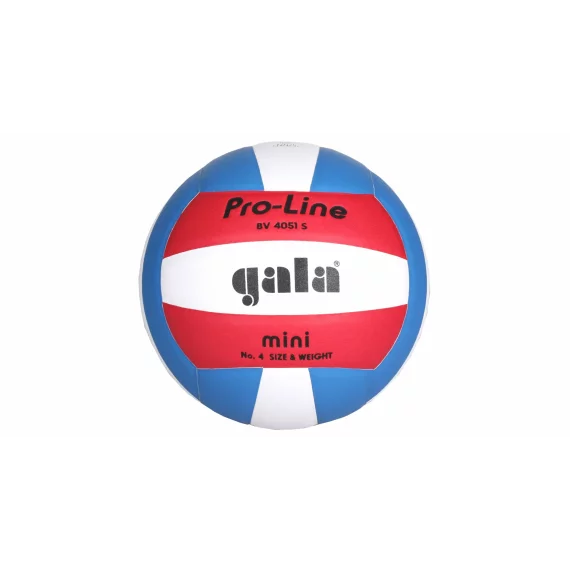 Minge volei BV4051S Training Mini
