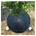Mulching cerc de tesatura 10 buc