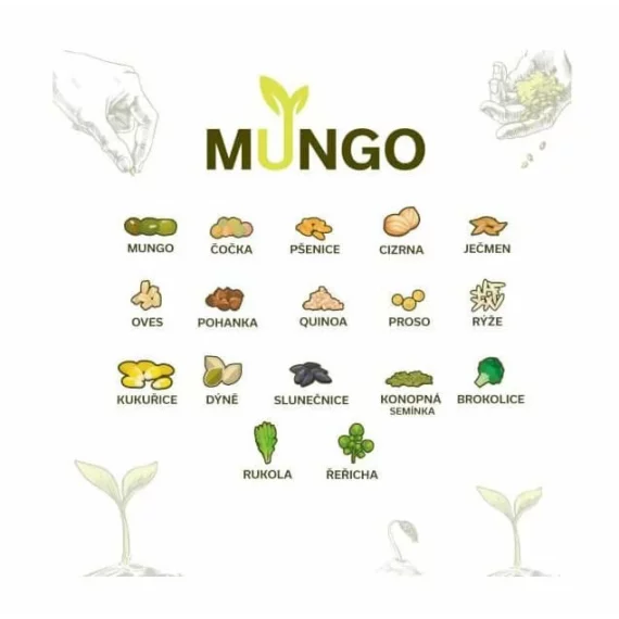 Mungo castron pentru incoltit, germinator, verde neon