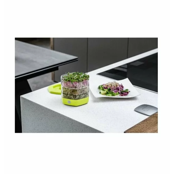 Mungo castron pentru incoltit, germinator, verde neon