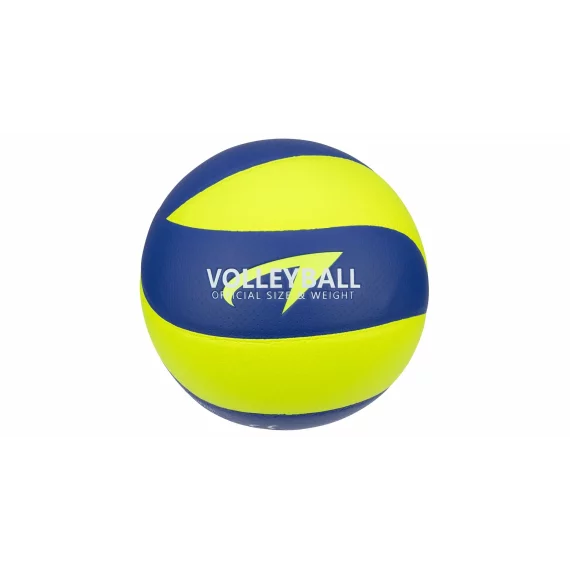 Official volleyball ball