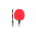 Ovtcharov Gold pálka na stolní tenis